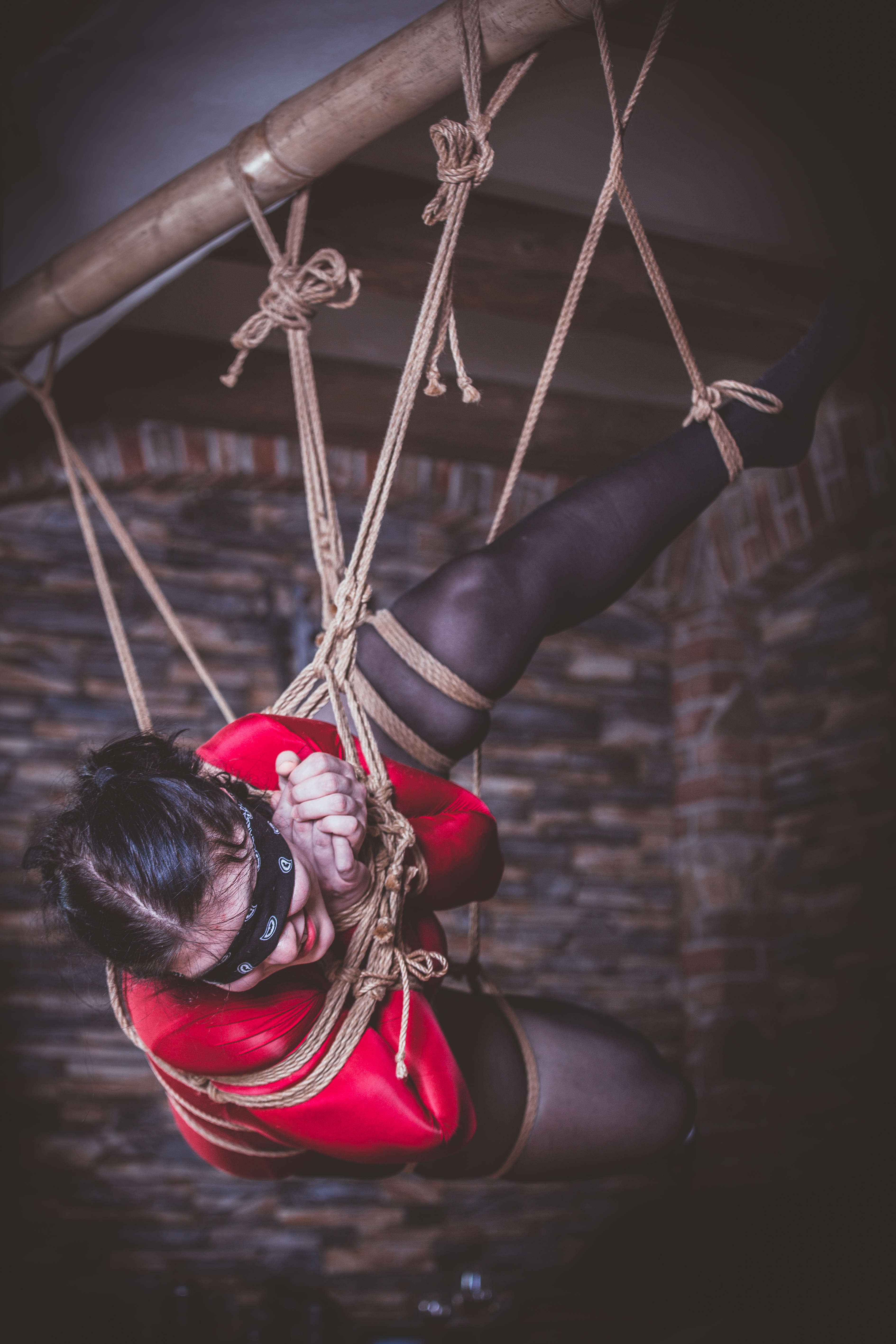 https://www.ardentshibari.com/wp-content/uploads/2019/09/ZZ9A3037.jpg